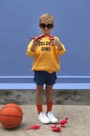  Golden Dino Sweater