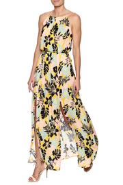  Tropic Of Conversation Dress