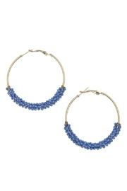  Seed Bead Earrings