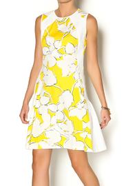  Samantha Dress