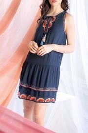  Embroidered Drop Waist