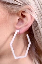  Hexigon Resin Earring