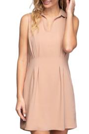  Collared Fitted Dress