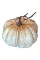  Styrofaom Cream Pumpkin