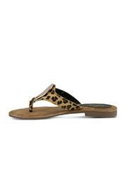  Leopard Flat Sandal