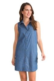  Darling Denim Dress