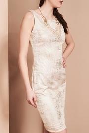  Blush Shimmer Dress