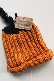  Fall Pumpkin Hat