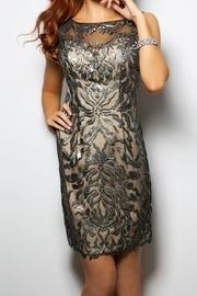  Unique Mesh Dress