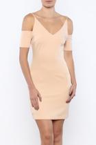  The Sleeve Dress