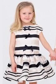 Stripe Organza Dress