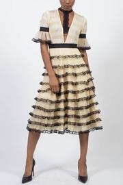  Victorian Chic Dress