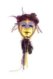  Mask On A Stick