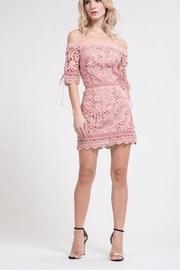  Rose Mini Dress