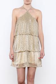  Glitz And Glamour Dress