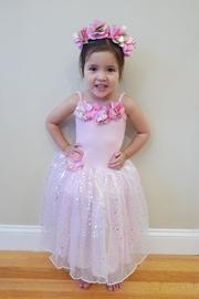  Fairy Dress W/headband