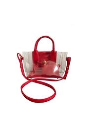  Transparent Mini Bag
