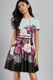  Wilmana Skater Dress