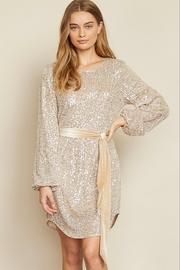  Sequin Sash Waist Dress