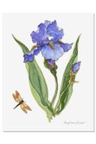 Iris Botanical Print