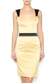  Hotsy Totsy Dress