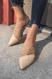  Two-toned Pointed Mule