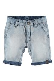  Fossil Leaf Short