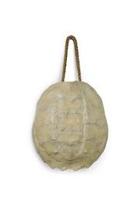  Turtle Shell Accessory