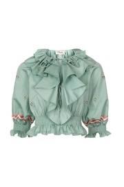  Embroidered Cropped Top
