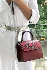  Python Satchel Lourdes