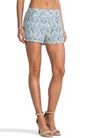 Lace Dress Shorts