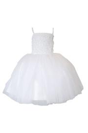  Lexi Party Dress