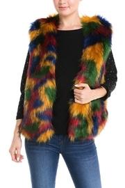  Colorful Fur Vest