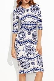  Porcelain Print Dress