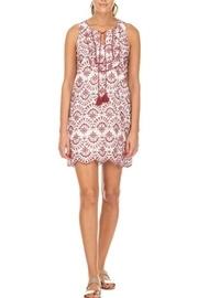  Embroidered Ruffles Dress