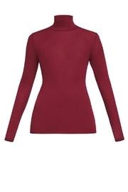  Brynne Knit Turtleneck