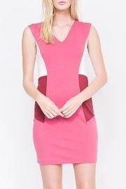 Nerissa Color-blocked Dress