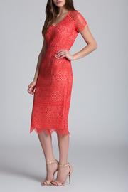  Lace Midi Dress