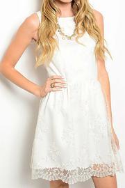  Floral Mesh Dress