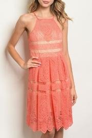  Coral Nude Dress