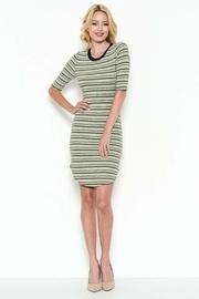  Contrast Rib Dress