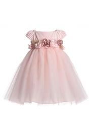  Velvet & Tulle Dress