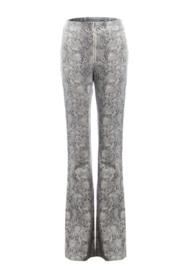  Flare Snake Pant