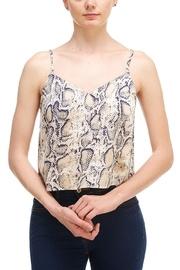  Python Print Tank