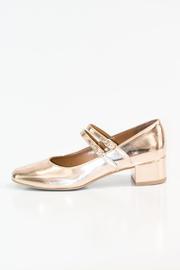  Metallic Leather Ballerina