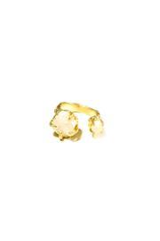  Gold & Stone Ring