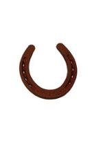  Lucky Horse Shoe