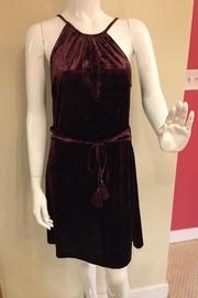 Willa Velvet Dress