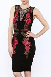  Mesh Front Embroidered Dress