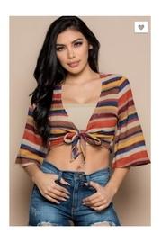  Multicolor Stripe Crop-top